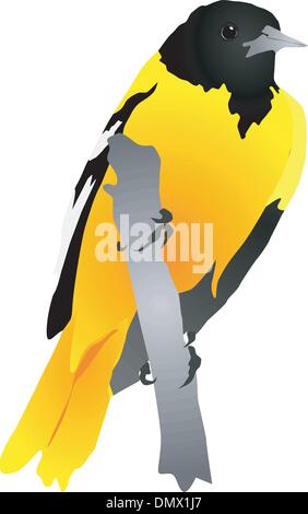 Uccello Giallo seduto su un ramo Illustrazione Vettoriale