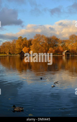 Serpentina in autunno, Hyde Park, West London, Regno Unito Foto Stock