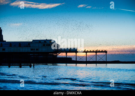 Aberystwyth, Wales, Regno Unito. 17 dic 2013. Alla fine di una giornata di sole fine, decine di migliaia di storni si radunano in aria al di sopra del lungomare vittoriano pier in Aberystwyth Wales UK. Il notturno murmuration degli uccelli al tramonto attira gente da tutto il paese. Il clima nel Regno Unito è impostata per ruotare wetter e windier nei prossimi giorni, con gales soffia da ovest Photo credit: keith morris/Alamy Live News Foto Stock