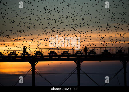 Aberystwyth, Wales, Regno Unito. 17 dic 2013. Alla fine di una giornata di sole fine, decine di migliaia di storni si radunano in aria al di sopra del lungomare vittoriano pier in Aberystwyth Wales UK. Il notturno murmuration degli uccelli al tramonto attira gente da tutto il paese. Il clima nel Regno Unito è impostata per ruotare wetter e windier nei prossimi giorni, con gales soffia da ovest Photo credit: keith morris/Alamy Live News Foto Stock