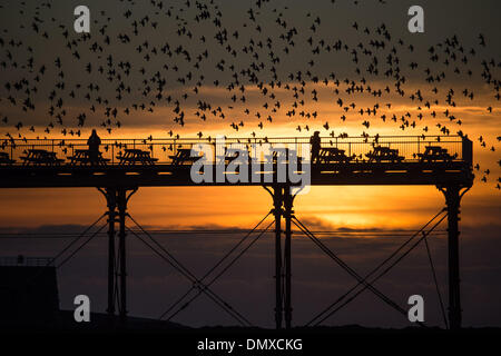 Aberystwyth, Wales, Regno Unito. 17 dic 2013. Alla fine di una giornata di sole fine, decine di migliaia di storni si radunano in aria al di sopra del lungomare vittoriano pier in Aberystwyth Wales UK. Il notturno murmuration degli uccelli al tramonto attira gente da tutto il paese. Il clima nel Regno Unito è impostata per ruotare wetter e windier nei prossimi giorni, con gales soffia da ovest Photo credit: keith morris/Alamy Live News Foto Stock