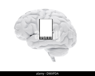 Immagine ad alta risoluzione. 3d reso illustrazione. 3d cervello umano. Foto Stock