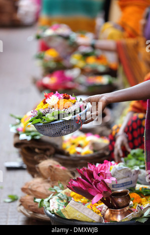 Fiori per offerte presso il tempio Omkareshwar Madhya Pradesh India Foto Stock