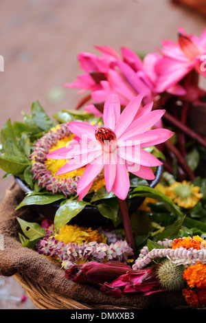 Fiori per offerte presso il tempio Omkareshwar Madhya Pradesh India Foto Stock