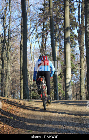 Mountain Biker sul percorso in foreste di montagna Foto Stock