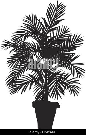 Albero di Palma Illustrazione Vettoriale