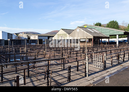 Vuoto mercato del bestiame appena dopo la chiusura definitiva nel mese di dicembre 2013, Abergavenny, Wales, Regno Unito Foto Stock