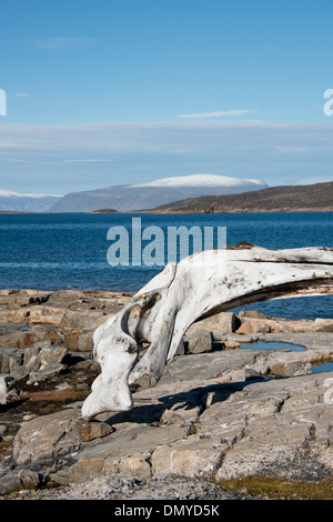 Canada, Nunavut, Regione Qikiqtaaluk, Cumberland Sound, Kekerten isola. Foto Stock