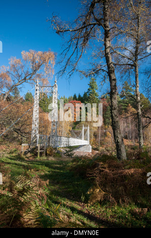 Cambus o maggio ponte di sospensione in autunno a Royal Deeside Foto Stock