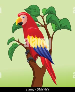 Macaw bird cartoon Illustrazione Vettoriale