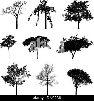 Alberi sagome impostato Illustrazione Vettoriale