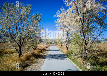 Passeggiate a piedi e in bici percorso nel piccolo paese di montagna di salida, Colorado, STATI UNITI D'AMERICA Foto Stock