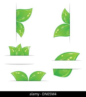 Set di verde le etichette ecologiche con foglie isolato su bianco bac Illustrazione Vettoriale