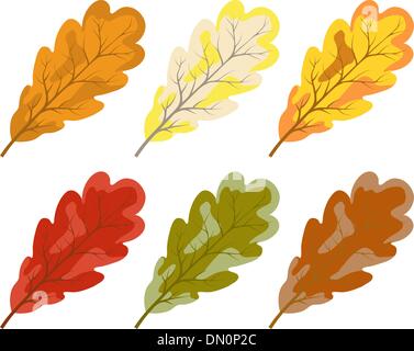 Raccolta di colore Foglie di autunno Illustrazione Vettoriale