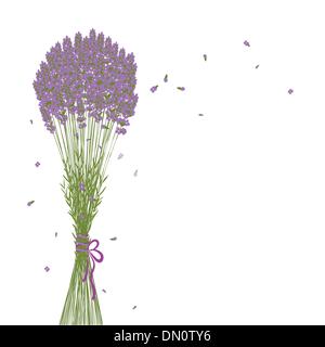 Viola di fiori di lavanda sfondo Illustrazione Vettoriale