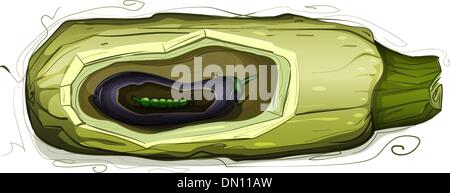 Melanzane midollo Pea Pod ancora vita illustrazione Illustrazione Vettoriale