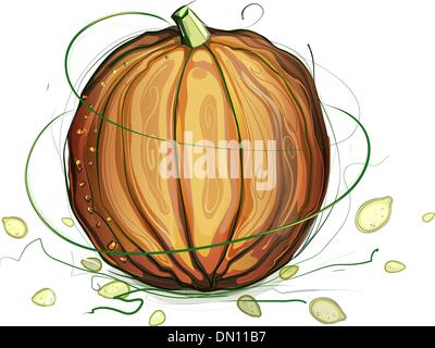 La zucca e i semi di illustrazione Illustrazione Vettoriale