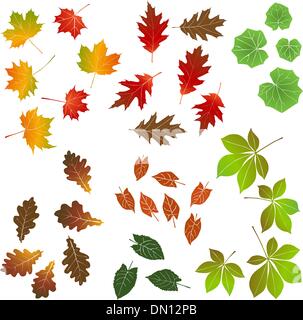 Autumn Leaf, raccolta per i progettisti Illustrazione Vettoriale