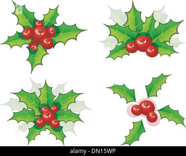 Holly natale set di diramazione Illustrazione Vettoriale