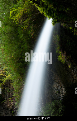 Nord scende, Silver Falls State Park, Oregon Foto Stock