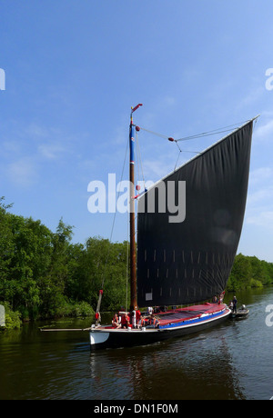 Norfolk Wherry fiducia nave l'Albion su Norfolk Broads Foto Stock