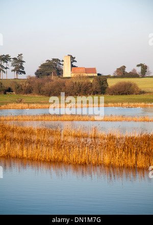 Inondazione in piedi in campo allagato per la prima volta in cinquant'anni da una mareggiata Ramsholt chiesa, Suffolk, Inghilterra Foto Stock