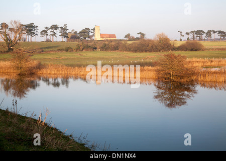 Inondazione in piedi in campo allagato per la prima volta in cinquant'anni da una mareggiata Ramsholt chiesa, Suffolk, Inghilterra Foto Stock