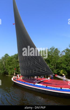 Norfolk Wherry fiducia nave l'Albion su Norfolk Broads Foto Stock