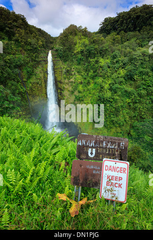 Stati Uniti d'America, Hawaii, la Big Island, Akaka Falls State Park Foto Stock