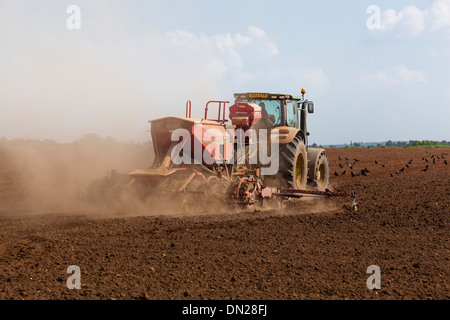 Terreno polveroso vola da ruote e attrezzature come un trattore trapani seme in un campo. Foto Stock