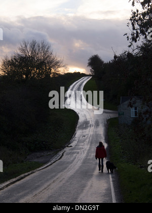 Dog walker su un avvolgimento country road al crepuscolo Foto Stock