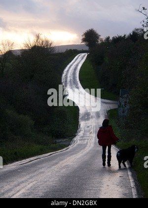 Dog walker su un avvolgimento country road al crepuscolo Foto Stock