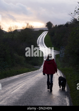 Dog walker su un avvolgimento country road al crepuscolo Foto Stock