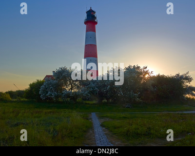 Faro Westerheversand in controluce, penisola di Eiderstedt, Frisia settentrionale, Schleswig-Holstein, Germania Foto Stock
