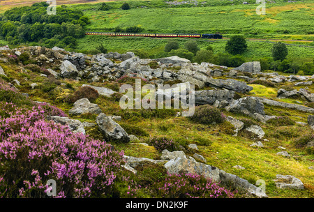 Vintage treno a vapore che fa il suo modo di Goathland da Pickering attraverso il North York Moors vicino a Goathland, nello Yorkshire, Regno Unito. Foto Stock