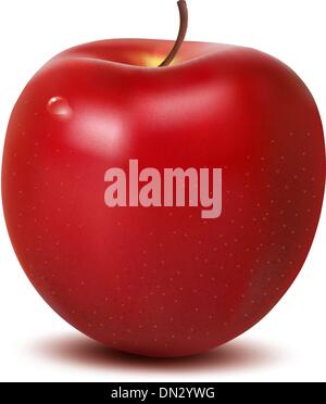 Apple Illustrazione Vettoriale