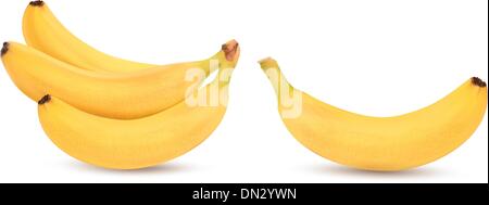 Le banane fresche isolato su bianco. Vettore Illustrazione Vettoriale