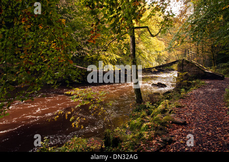 Una passerella sul fiume Allen nel Northumberland Foto Stock