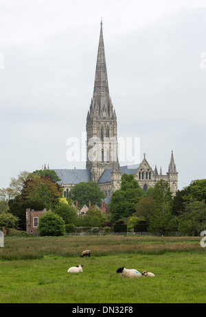 GV della Cattedrale di Salisbury, Wiltshire. 29 Maggio 2013 Foto Stock