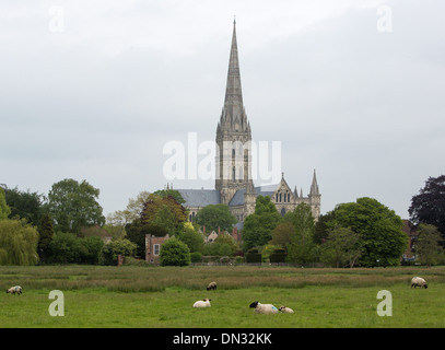 GV della Cattedrale di Salisbury, Wiltshire. 29 Maggio 2013 Foto Stock