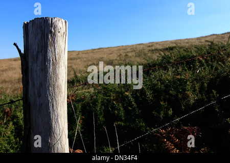 Il vecchio posto di legno nel recinto di un prato Foto Stock