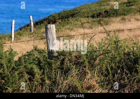 Il vecchio posto di legno nel recinto di un prato Foto Stock