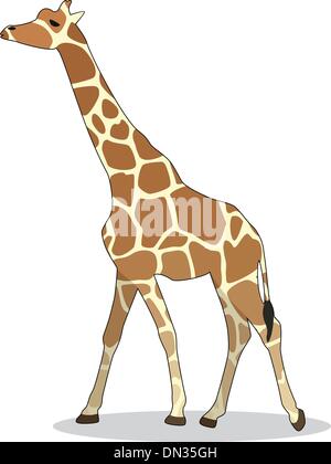giraffa di vettore Illustrazione Vettoriale