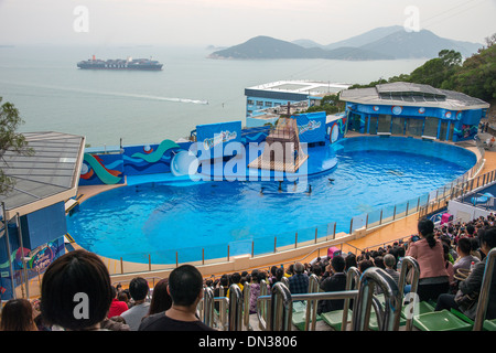 Ocean Park Teatro marino le prestazioni dei delfini, Hong Kong Foto Stock