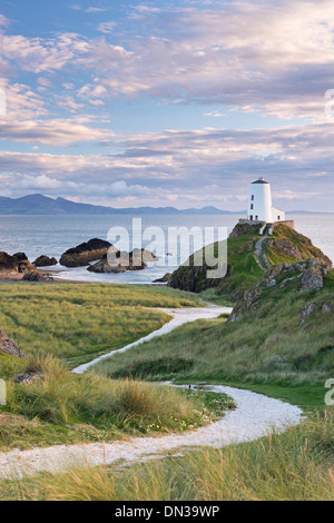 Il percorso che conduce al Tŵr Mawr faro sull isola di Llanddwyn, Anglesey, Galles. In autunno (settembre) 2013. Foto Stock