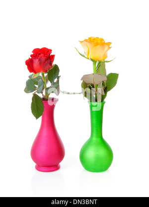 Rose colorate in vasi su sfondo bianco Foto Stock