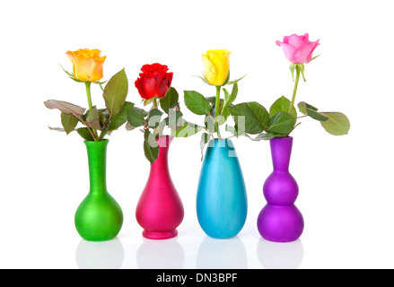 Rose colorate in vasi su sfondo bianco Foto Stock