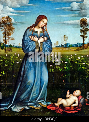 Madonna Rosenhag im Francia Francesco di Marco Raibolini) Il 1450-1517 Italia Italiany italiano Foto Stock