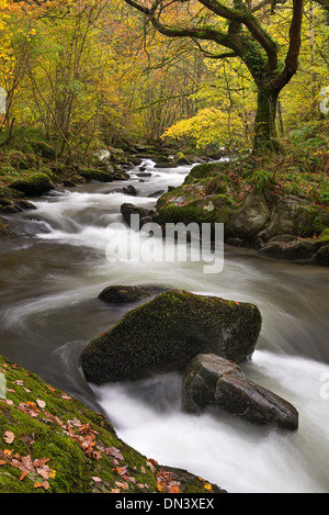 Oriente Lyn River a Watersmeet, Exmoor, Devon, Inghilterra. In autunno (Novembre) 2013. Foto Stock