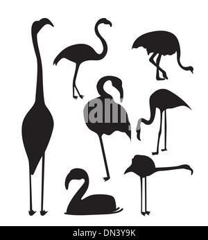 Flamingo Illustrazione Vettoriale